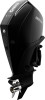 Mercury F 250 L DS CMS – billede