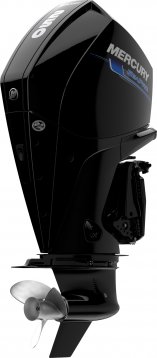 Mercury S 250 XL / XXL DS SeaPro - 3